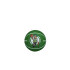 NBA BASKETBALL DRIBBLER BOSTON CELTICS