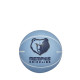WILSON BASKETBALL DRIBBLER bumba NBA TEAM MEMPHIS GRIZZLIES