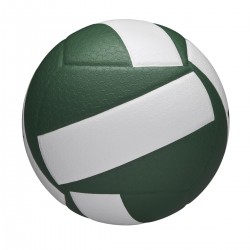 WILSON HELIX volejbola bumba (zaļa/balta) WV1000503XBOF