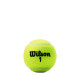 WILSON CHAMPIONSHIP TENISA BUMBIŅAS ( 3 BUMBU TUBS )